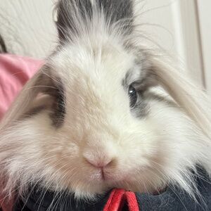 Meet your Posher, Ty